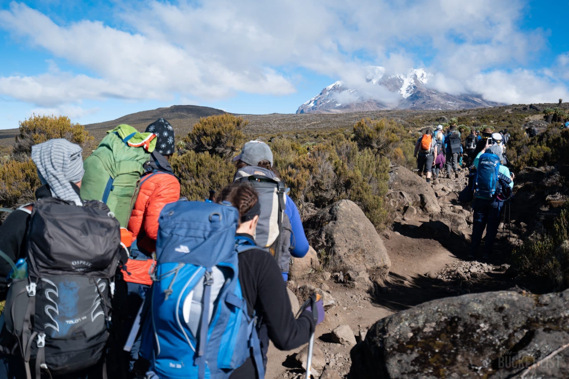Trekkers hiking towards the summit of Mount Kilimanjaro