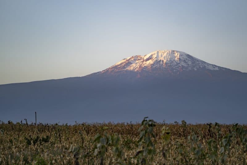 Kilimanjaro climb