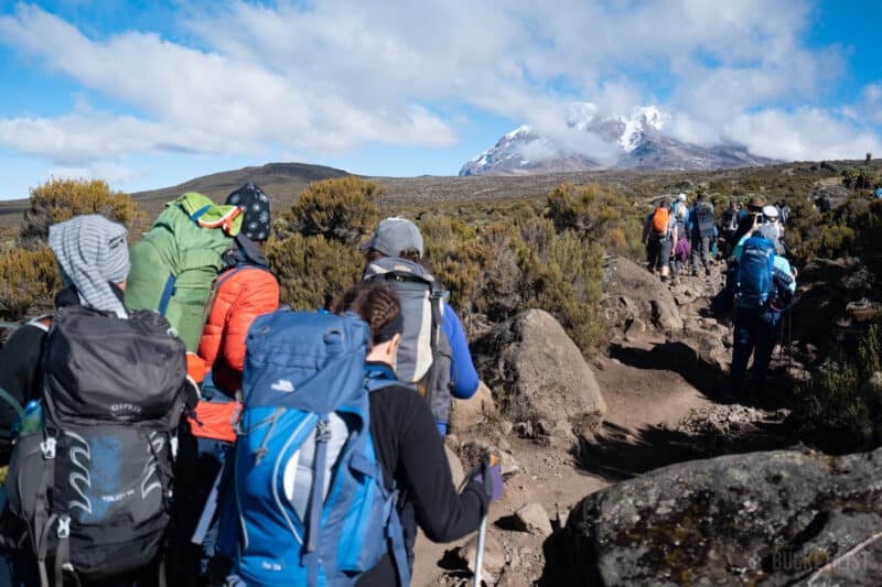 TBLC_Kilimanjaro_2018_95
