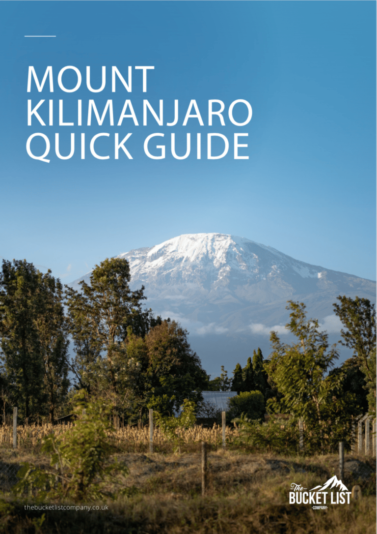 Mount Kilimanjaro trek guide