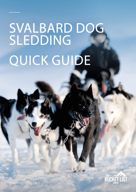 Dog sledding in Svalbard quick guide