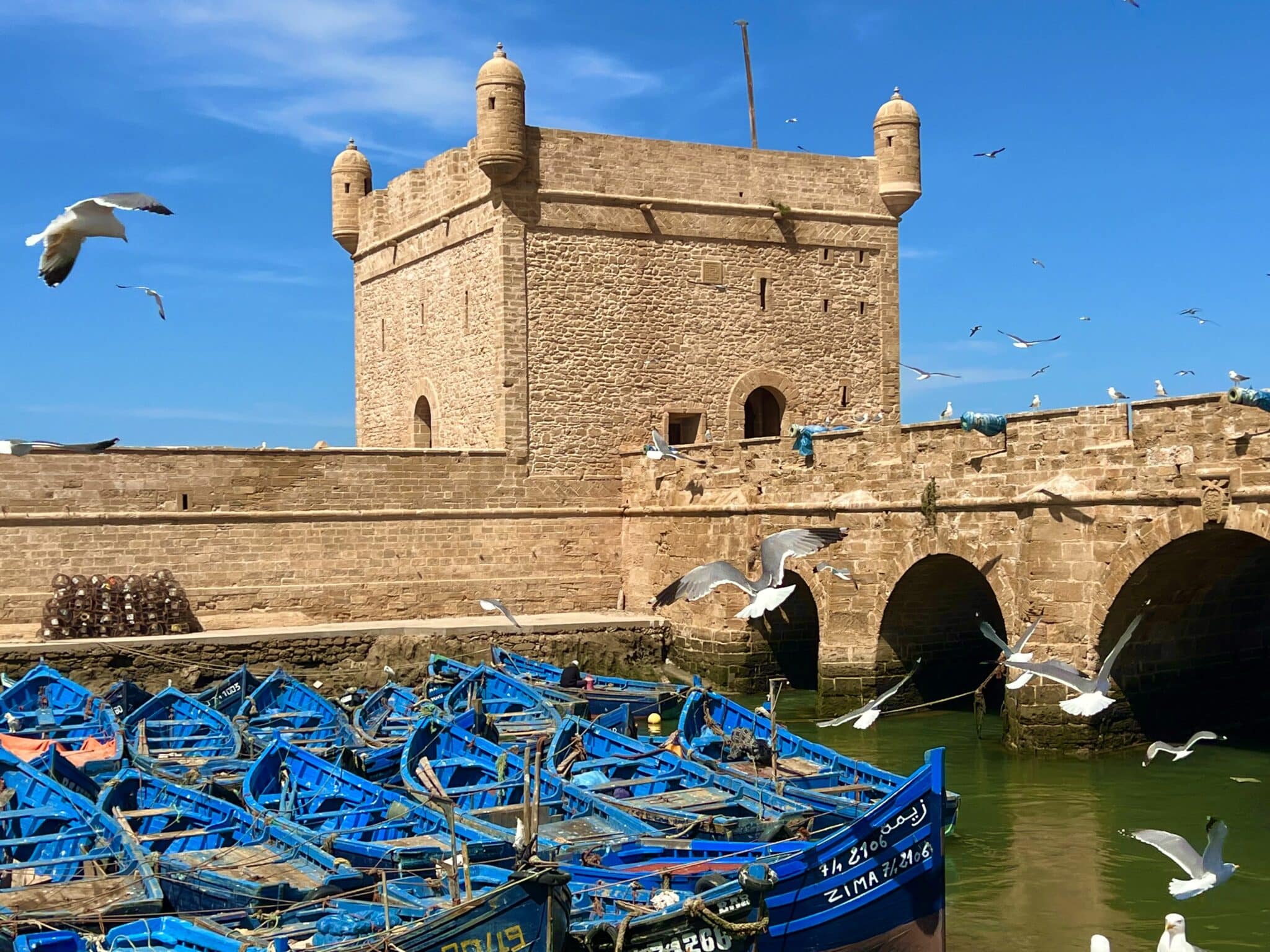 Essaouira blue boats
