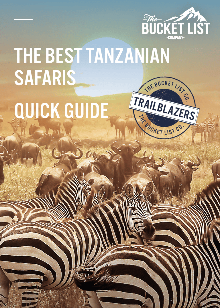 The best Tanzanian safari quick guide screenshot