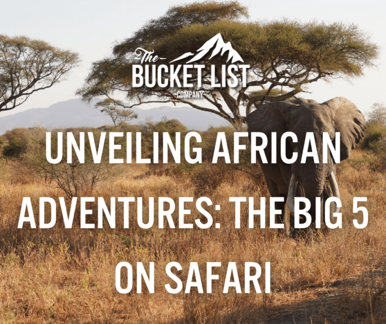 Unveiling African Adventures: The Big 5 on Safari - featured