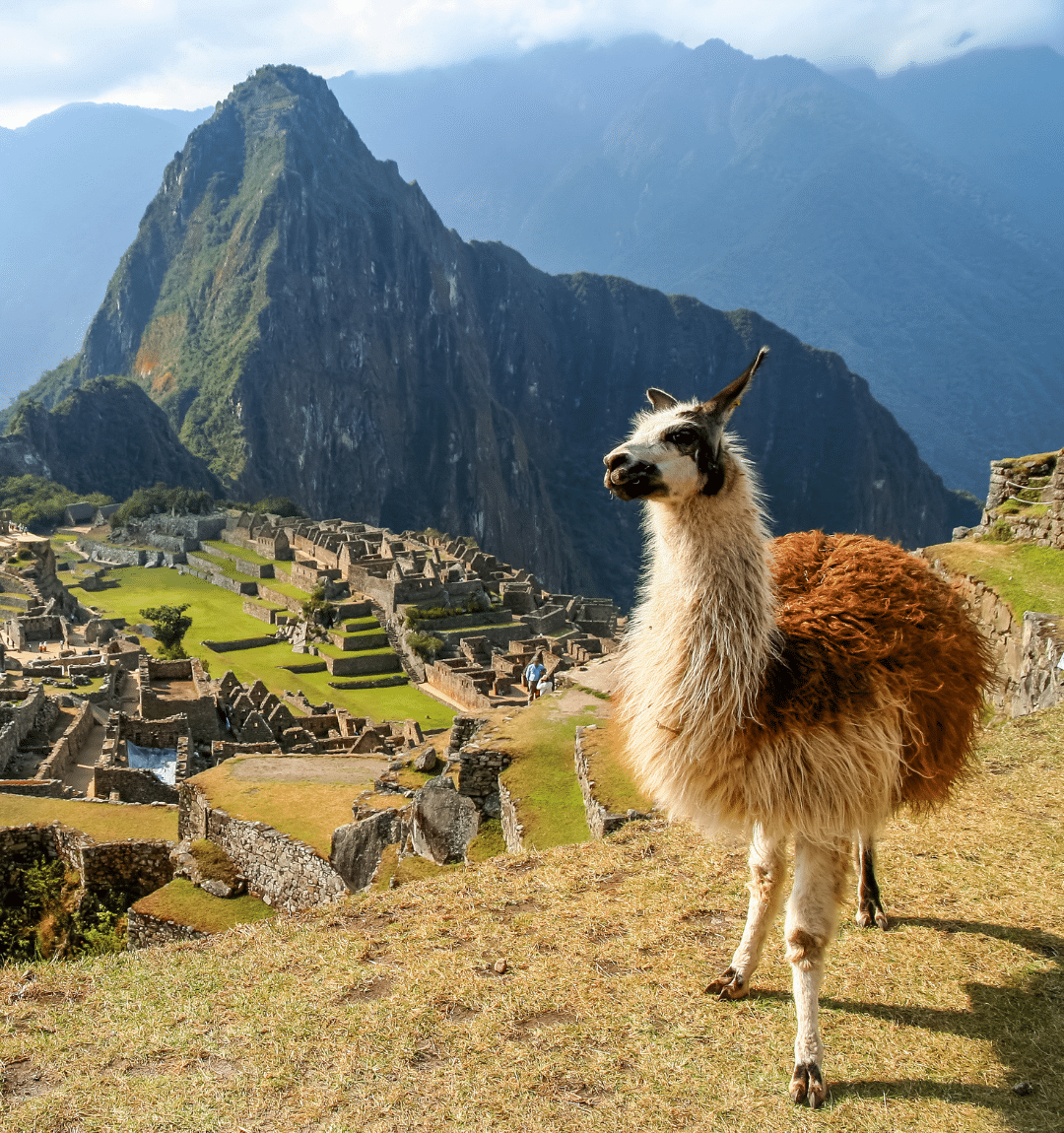 Machu Picchu Uncovered: A Comprehensive Q&A Guide - 4