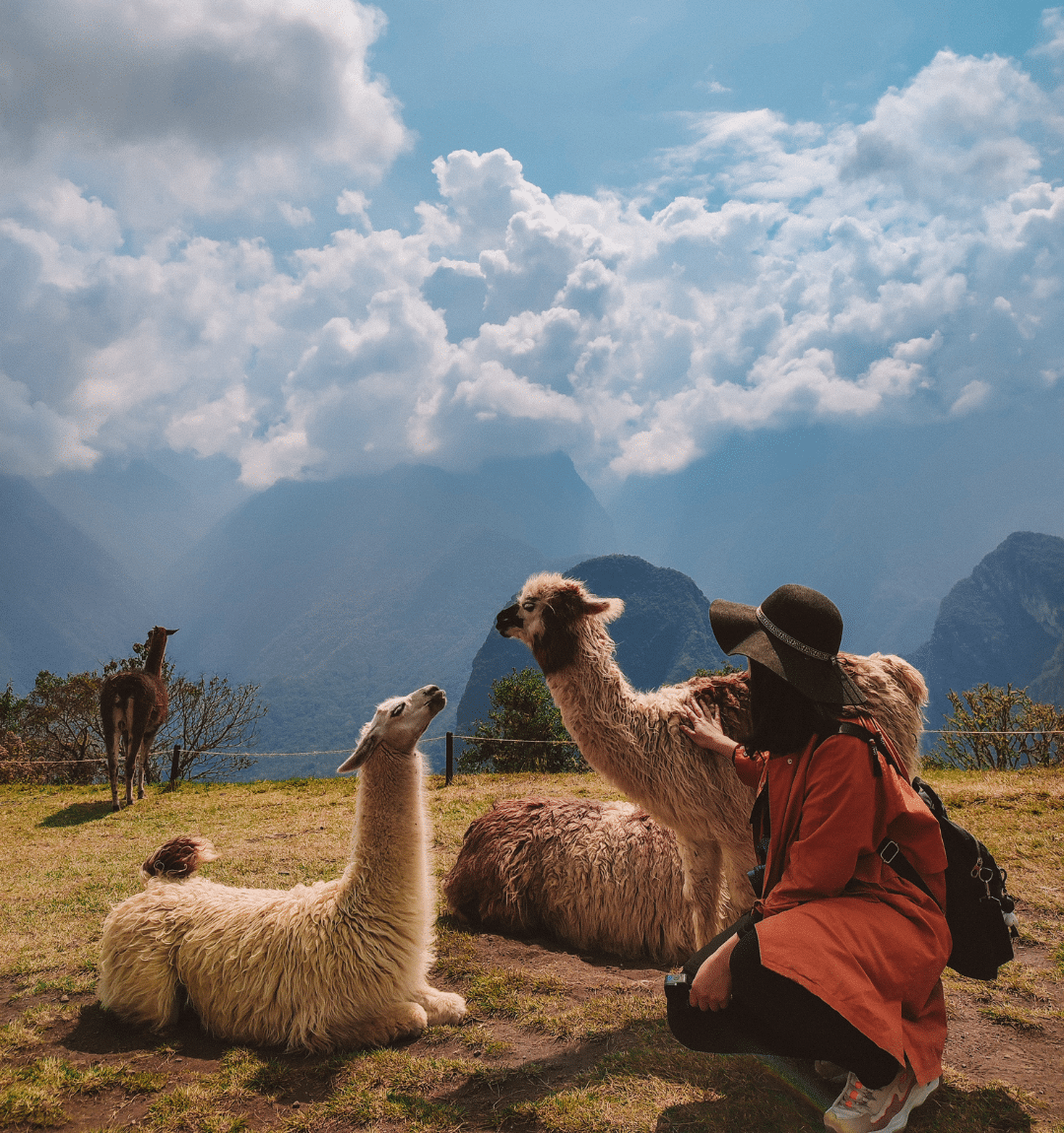 Machu Picchu Uncovered: A Comprehensive Q&A Guide - 6