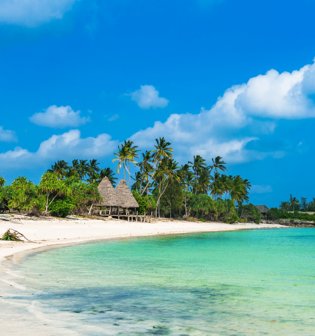 Everything you need to know about Zanzibar