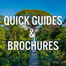 Quick Guides & Brochures