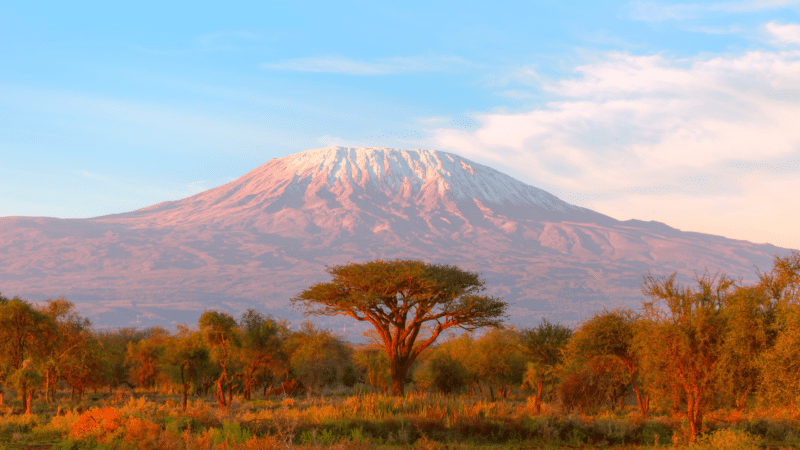Mt Kilimanjaro