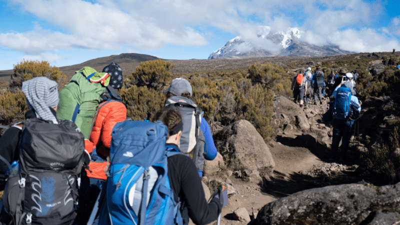 Tanzania Kili Trekking