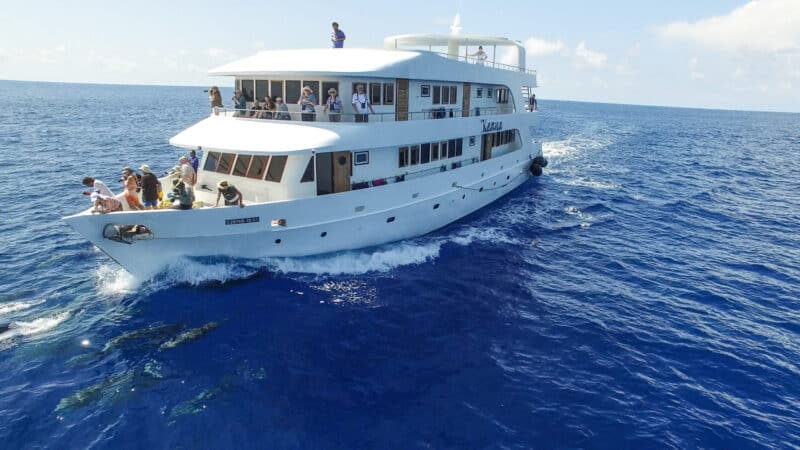 dolphins bowriding keana