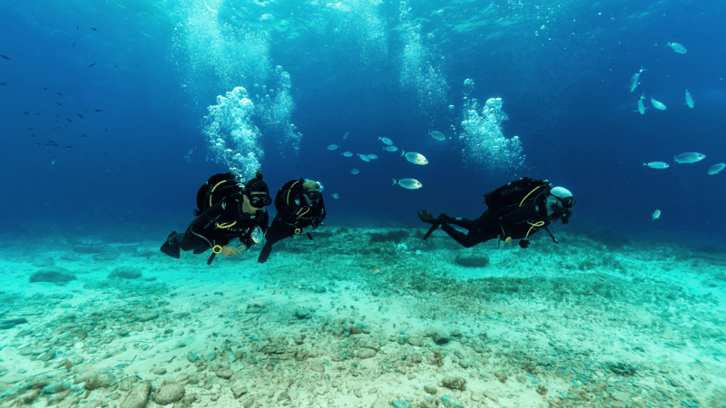 gozo scuba diving around seabed