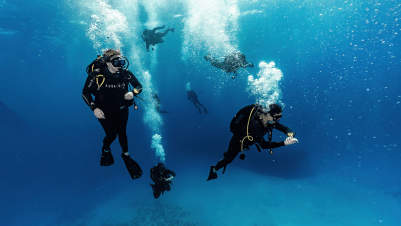 gozo scuba diving group