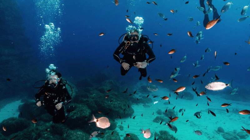 gozo scuba diving with fish