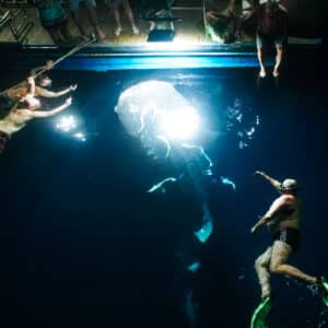 whaleshark night mvkeana