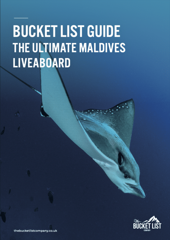 The Ultimate Maldives Liveaboard Quick Guide Cover