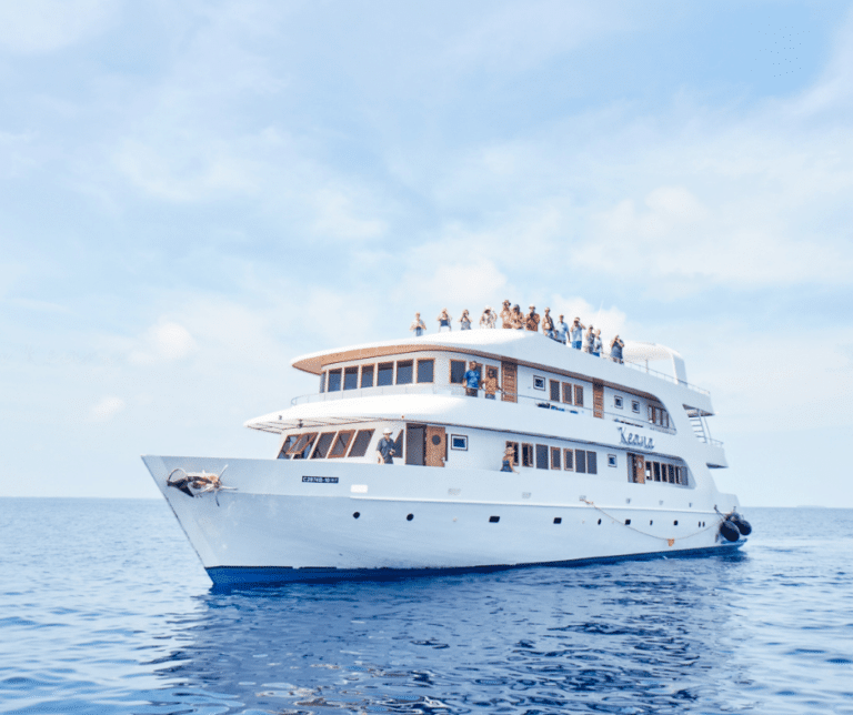 The Ultimate Maldives Liveaboard Trip Featured Image