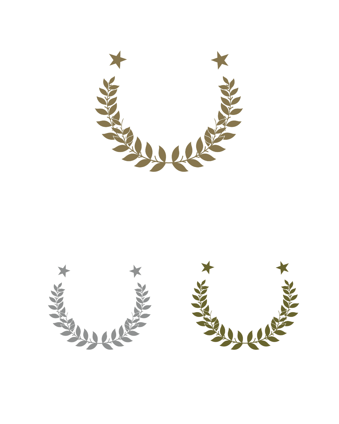 Graphic showing British Travel Awards logos Winner for Adventure Holidays silver for Activity/Sports Holidays and bronze for Safari Holidays Each award features laurel wreaths with different colors: gold silver and bronze