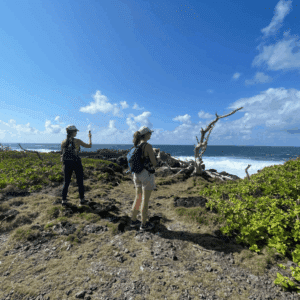 Hikers standing on a rocky coastal trail in Mauritius overlooking the ocean and rugged shoreline.