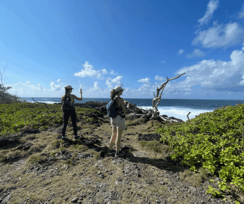 Hikers standing on a rocky coastal trail in Mauritius overlooking the ocean and rugged shoreline.