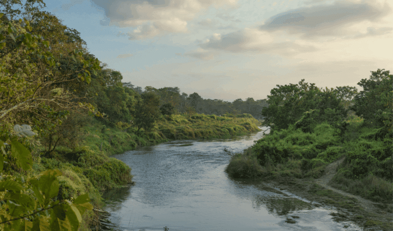 Chitwan river png
