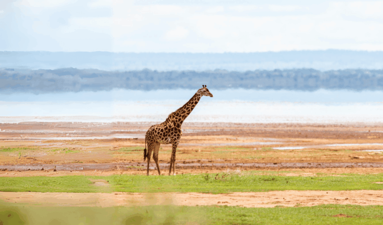 DAY -  - Adventure Tour