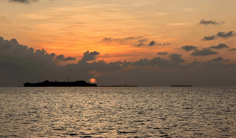 DAY -  - Adventure Tour