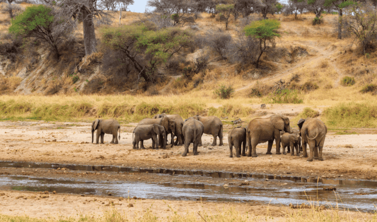 DAY -  - Adventure Tour