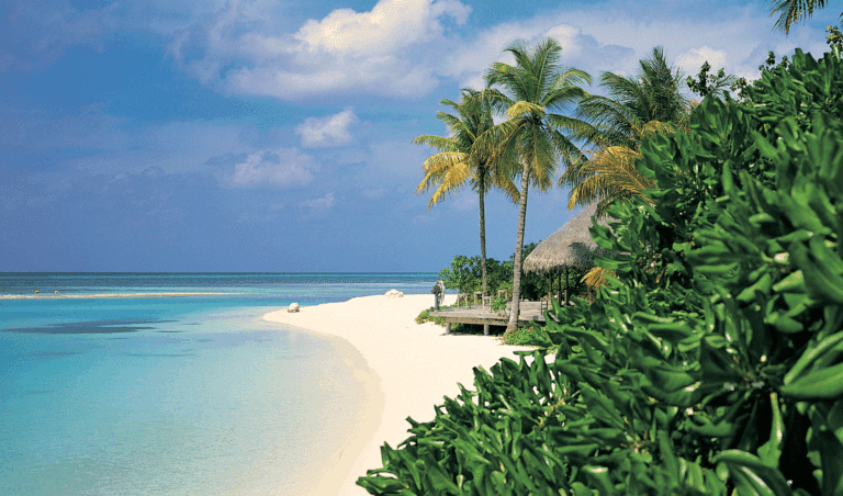 DAY -  - Adventure Tour