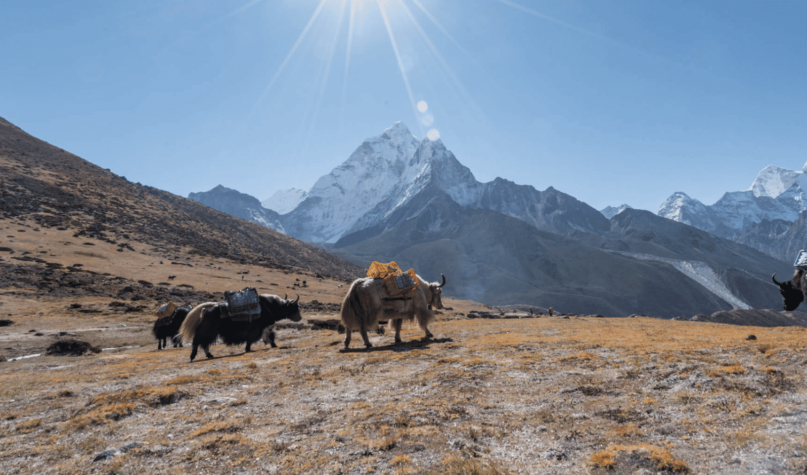 TREK TO LOBUCHE M -  - Adventure Tour