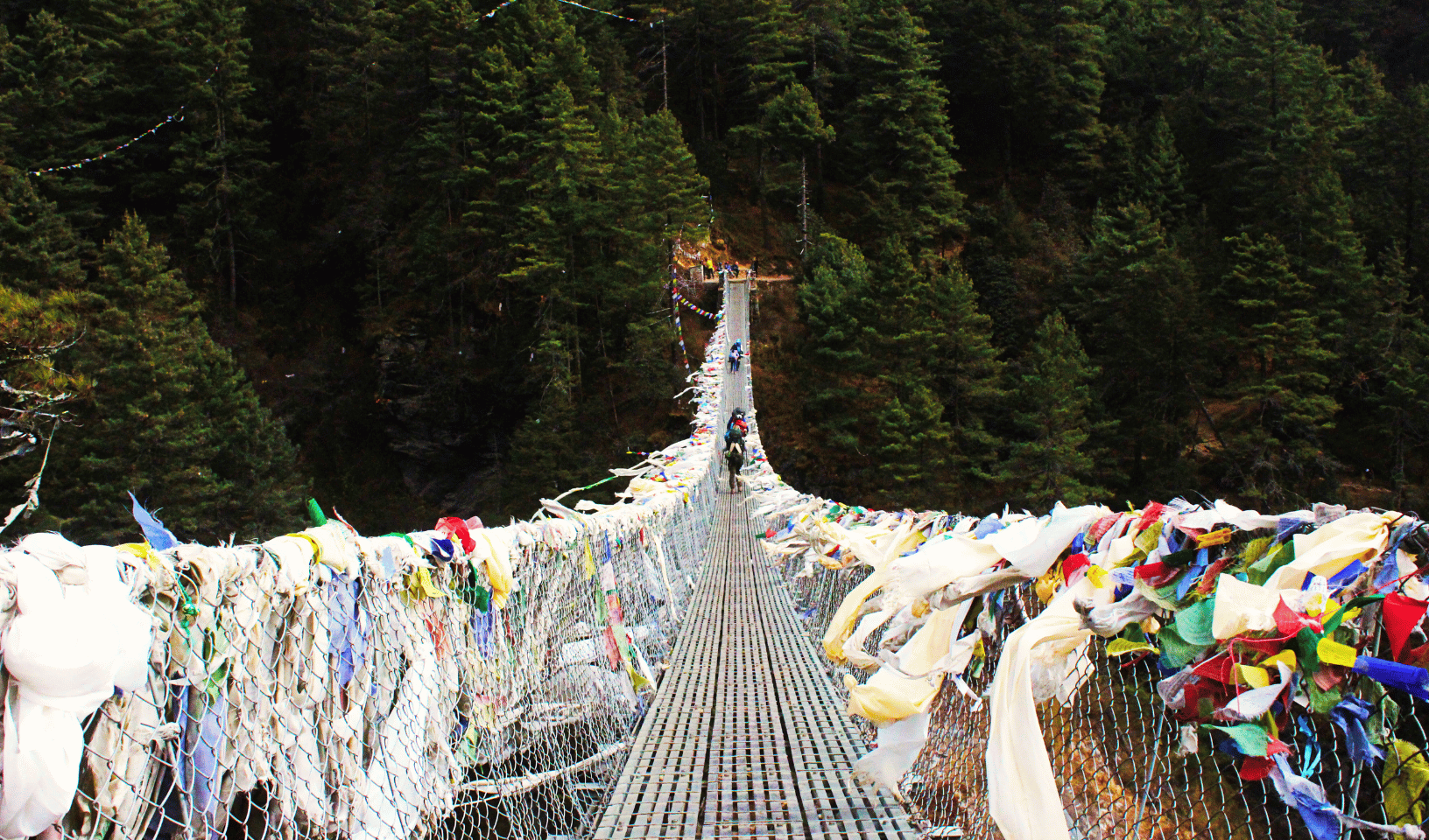 TREK TO NAMCHE BAZAAR M -  - Adventure Tour