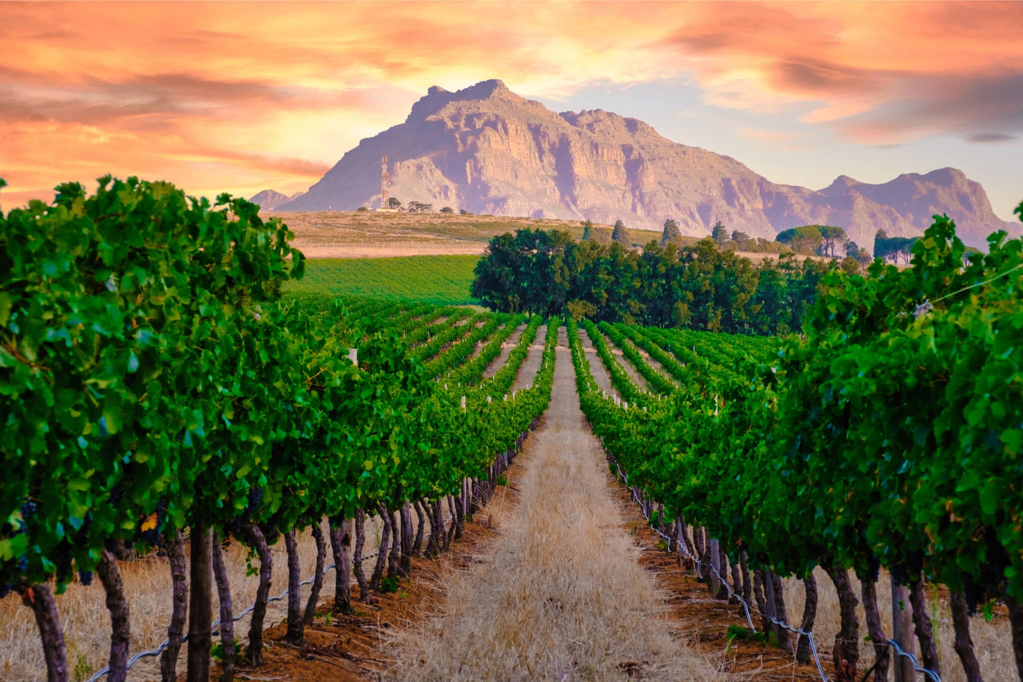 The Best of South Africa - Adventure Tour